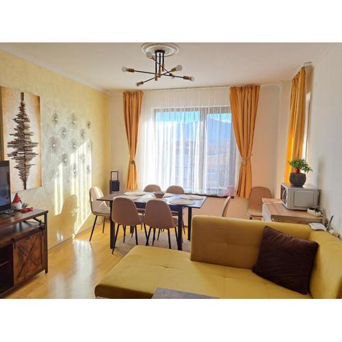 Sunny Mountain View apartment