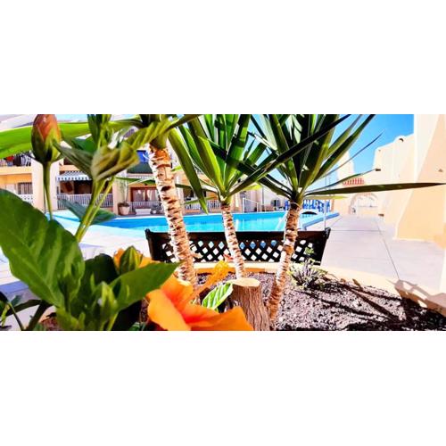SUNNY POOL PATIO - 2 bedrooms 2 baths