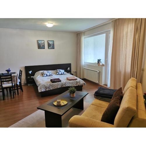 Sunny studio apartment - few steps from Gondola