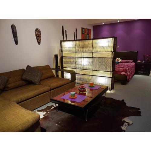Sylvias art studio apt