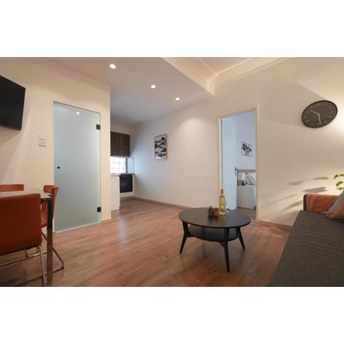 Syntagma square, 50sqm nikis luxurious apartment