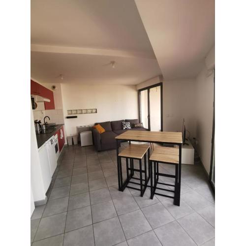 T1bis moderne, lumineux, belle-vue, Patte d\