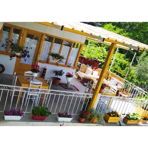 TeArra GuestHouse