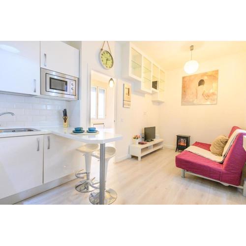 TEMPORAL apartment 1 bedroom flat a few metres from the city centre AMA2721