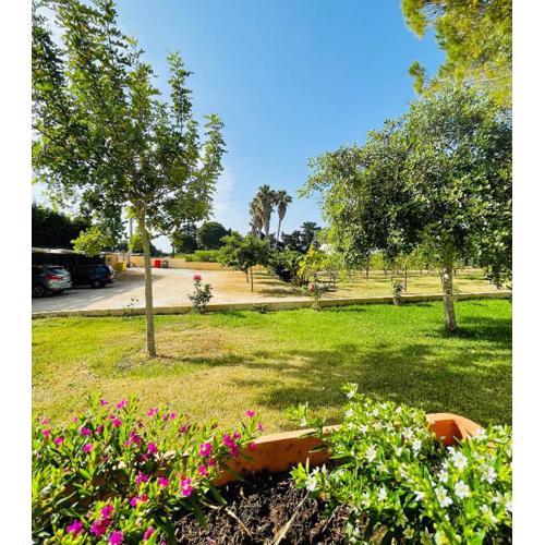 Tenuta Angelini Apartments