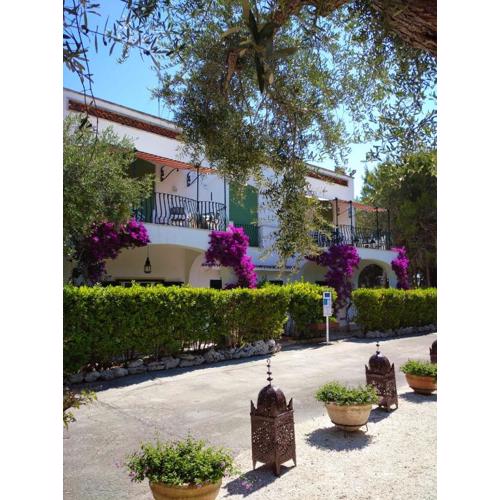Tenuta Belvedere