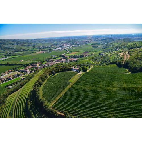 Tenuta Delo Relais