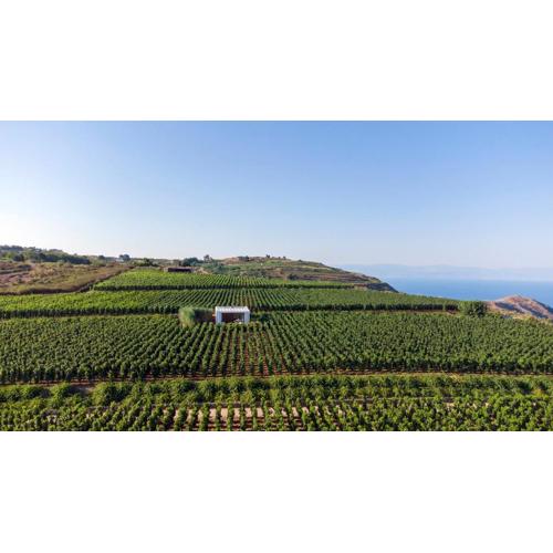 Tenuta di Castellaro Winery & Resort