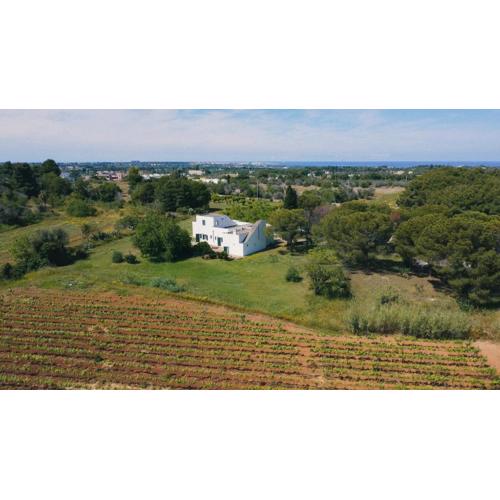Tenuta Doxi