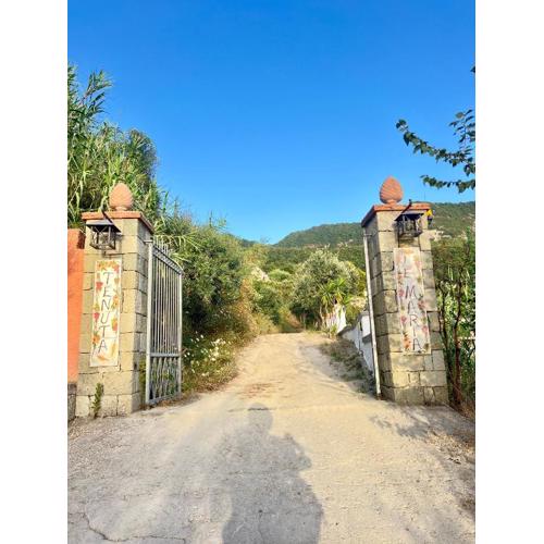 Tenuta le Maria al Monte Asia