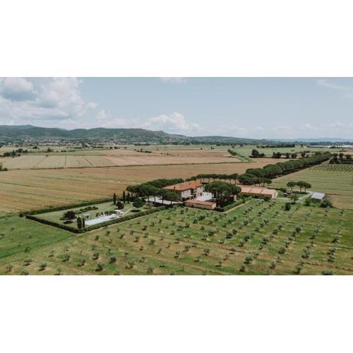 Terra di Cortona