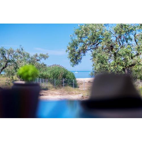 Terra di Olive Thassos
