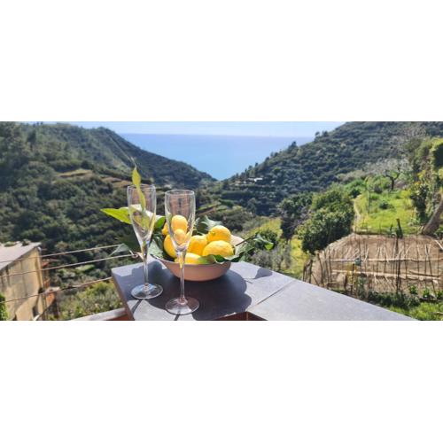 ☆ Terrace & Relax ☆ CASA FRANCESCHIN_ HOMY 5 TERRE