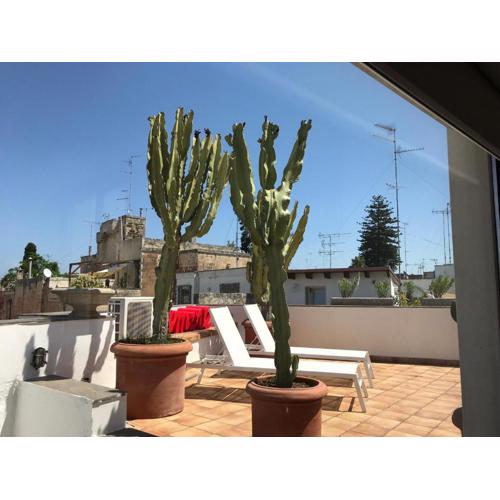 Terrazza con Vista