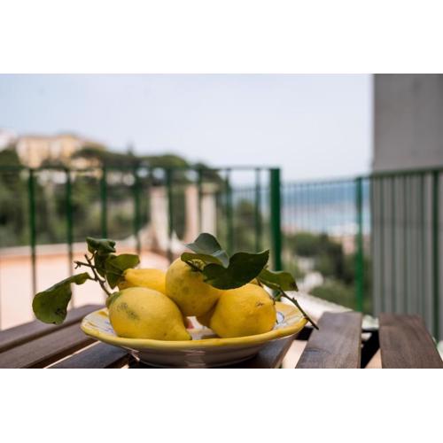 Terrazza Mediterranea