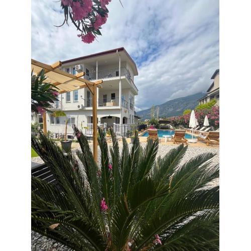 Tetra clover suites