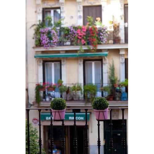 THC Latina Hostel