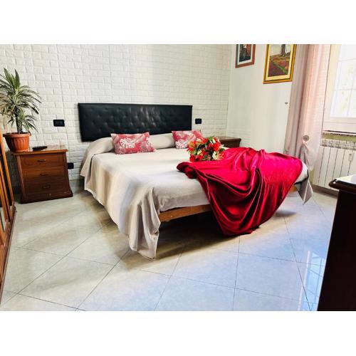 The Comfort apartment