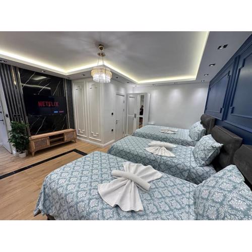 THE cozy, below street floor APT