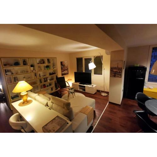 The cozy flat