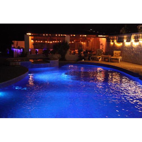 The Dragonfly Retreat