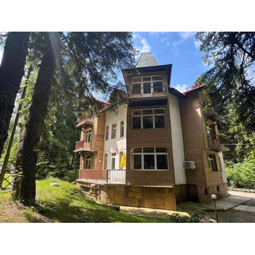 The Forest Villa Borovets by BookVillaBG