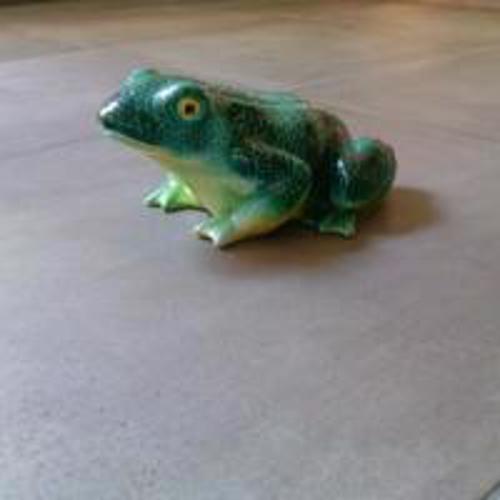 The Frog\