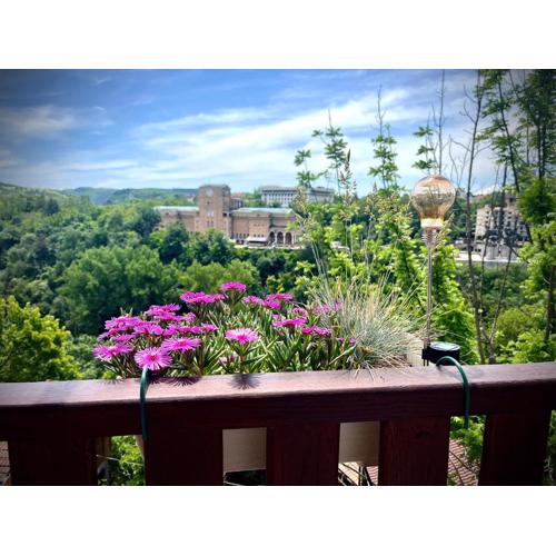 The Green Guest House-Amazing View, Top Location, Entire House