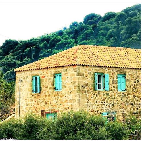 The House. Light & Stone.