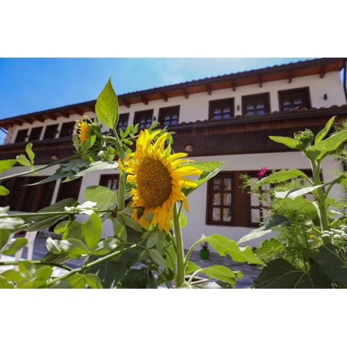 The House of Dollma , Inside Kruja Castle