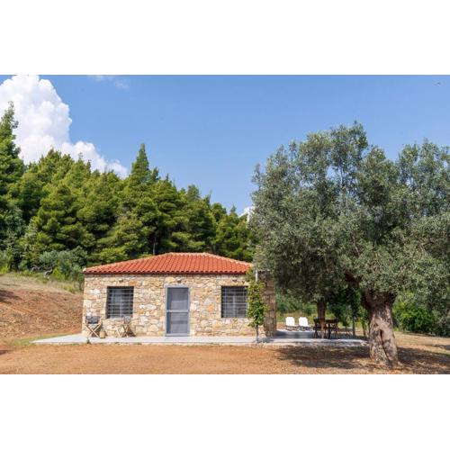 The Ideal Secluded Retreat