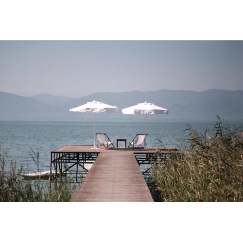The Lake House