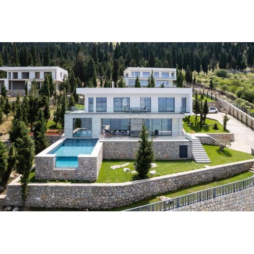 The Luxury Villa