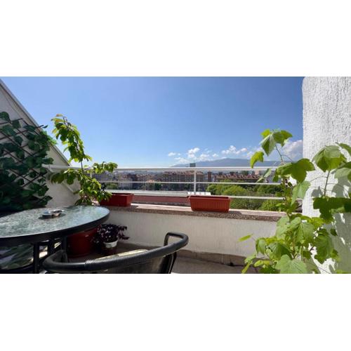 The Nest Above Sofia Studio