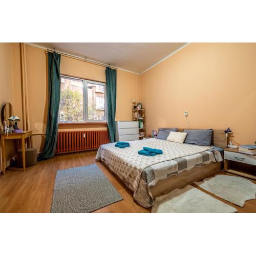 The Rakovski Studio
