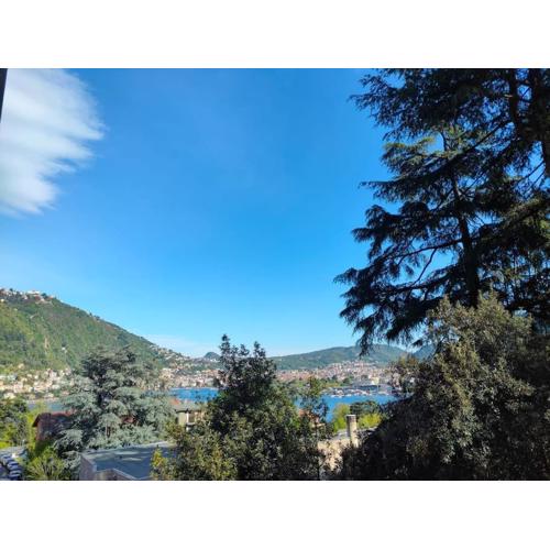 The Running Lake holiday apartment - Villa Olmo