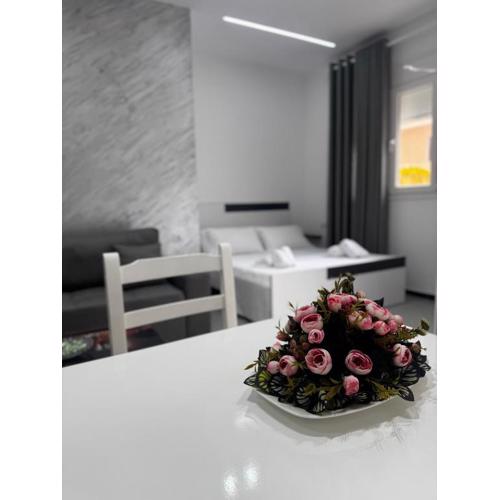The Suite