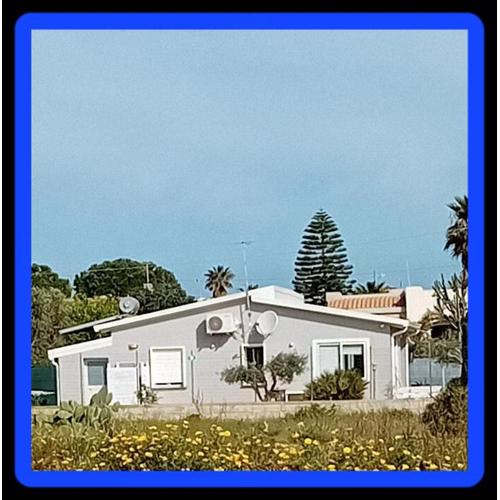 The Sunshine House