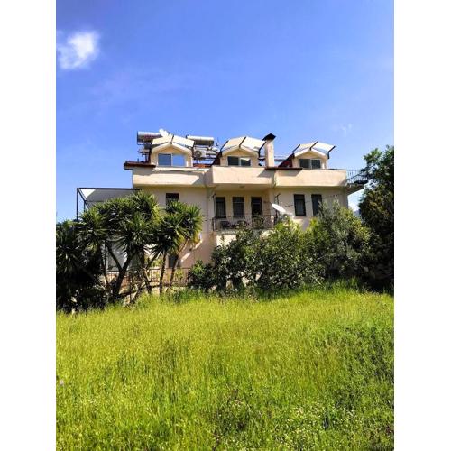 The Tulip Teras houses