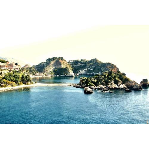 The view