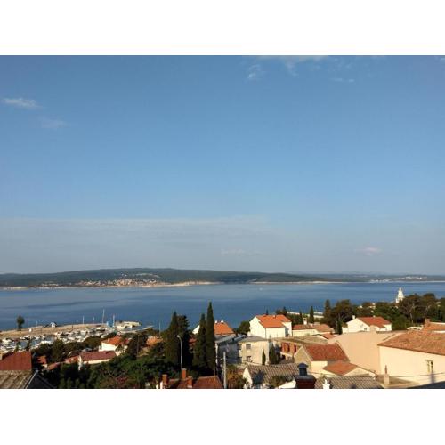 The view