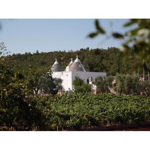Tipici Trulli immersi nella Valle D\