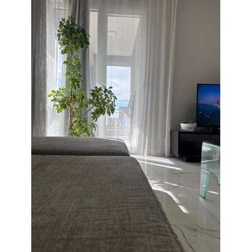 Tirana apartment