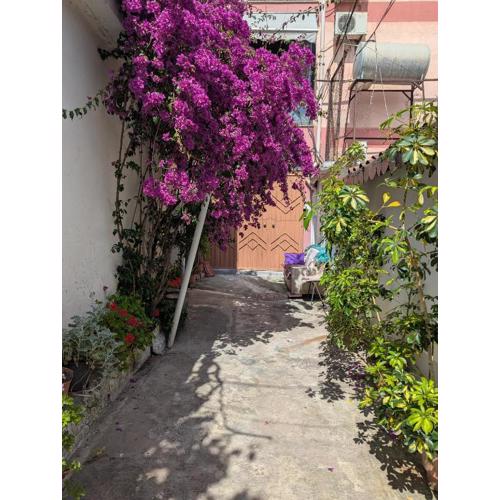 Tirana center Apartment Luli\