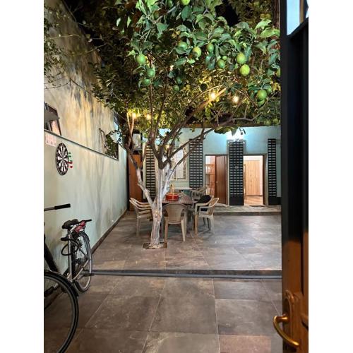 Tirana Lemon Breeze Hostel