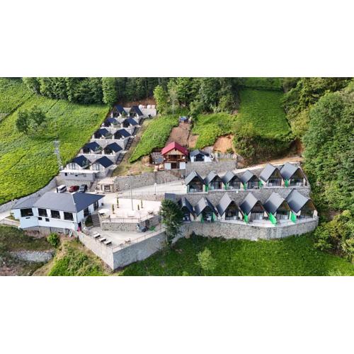 Toli Bungalow