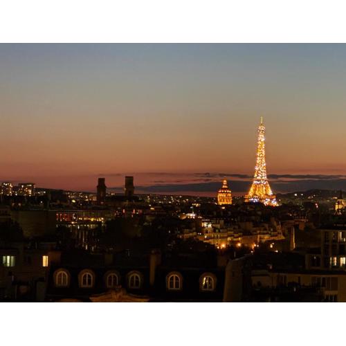 Top floor with Eiffel Tower view and roof top
