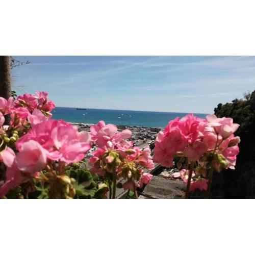 Torreammare