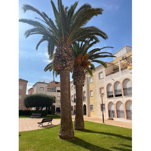 Torrevieja 2 bedrooms Appartment