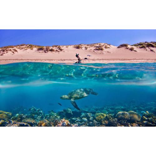Tortuga Dafni Bay Villas Diver\